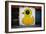 Yellow Duck on Brick Wall in Brooklyn NY-null-Framed Photo