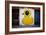 Yellow Duck on Brick Wall in Brooklyn NY-null-Framed Photo