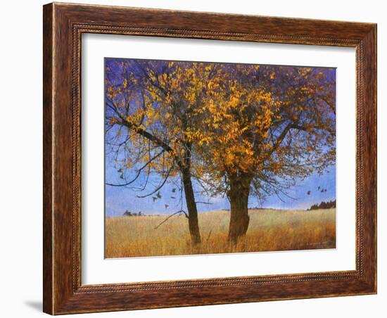 Yellow Elm-Chris Vest-Framed Photographic Print