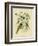 Yellow-Faced Honeyeater, 1891-Gracius Broinowski-Framed Giclee Print