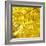 Yellow Fall Leaves 007-Tom Quartermaine-Framed Giclee Print
