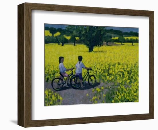 Yellow Field, Kedleston, Derby-Andrew Macara-Framed Giclee Print