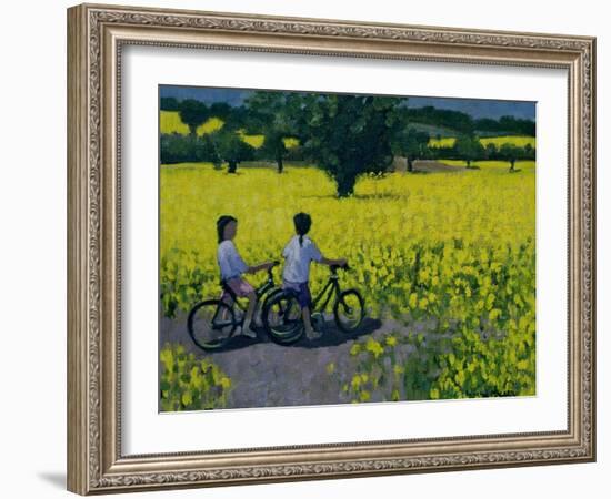 Yellow Field, Kedleston, Derby-Andrew Macara-Framed Giclee Print