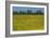 Yellow Field with Poppies, 2002-Alan Byrne-Framed Giclee Print