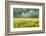 Yellow Field-James McLoughlin-Framed Photographic Print