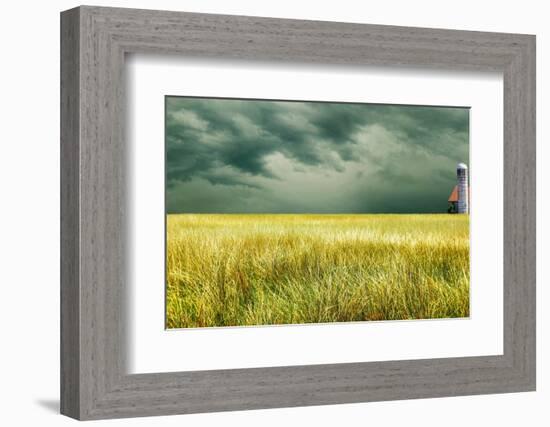 Yellow Field-James McLoughlin-Framed Photographic Print