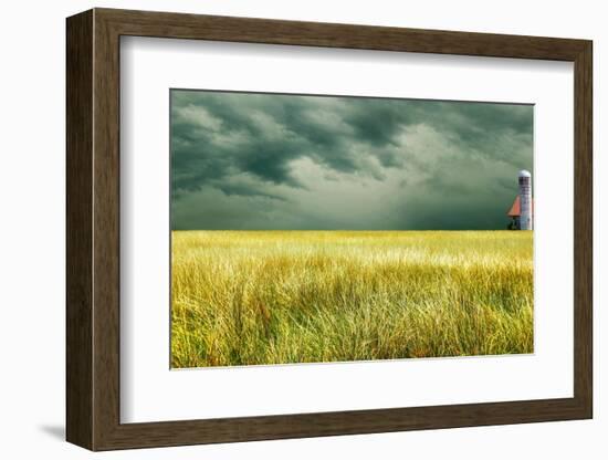 Yellow Field-James McLoughlin-Framed Photographic Print