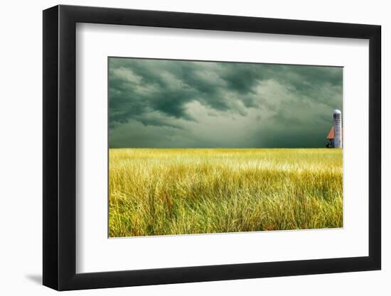 Yellow Field-James McLoughlin-Framed Photographic Print