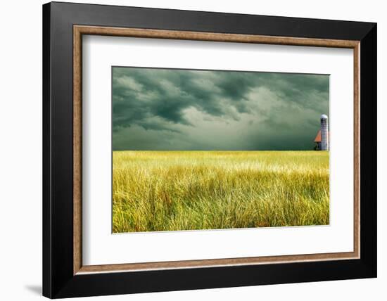 Yellow Field-James McLoughlin-Framed Photographic Print