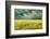 Yellow Field-James McLoughlin-Framed Photographic Print