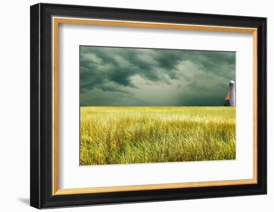 Yellow Field-James McLoughlin-Framed Photographic Print