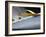 Yellow Fin Tuna on Beach at Santa Maria on the Island of Sal (Salt), Cape Verde Islands, Africa-R H Productions-Framed Photographic Print