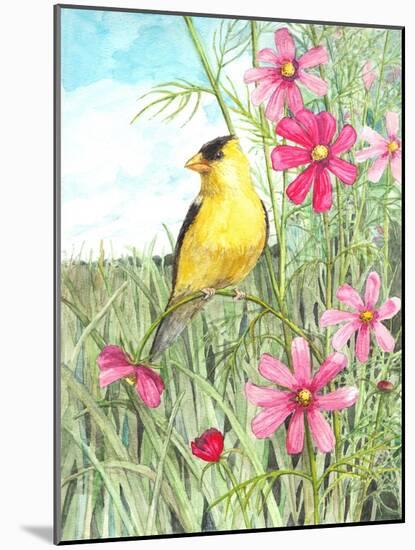 Yellow Finch Cosmos-Melinda Hipsher-Mounted Giclee Print