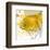 Yellow Fish-Irena Orlov-Framed Premium Giclee Print