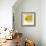 Yellow Fish-Irena Orlov-Framed Art Print displayed on a wall