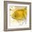 Yellow Fish-Irena Orlov-Framed Art Print