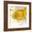 Yellow Fish-Irena Orlov-Framed Art Print