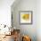 Yellow Fish-Irena Orlov-Framed Art Print displayed on a wall