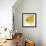 Yellow Fish-Irena Orlov-Framed Art Print displayed on a wall