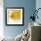 Yellow Fish-Irena Orlov-Framed Art Print displayed on a wall