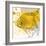 Yellow Fish-Irena Orlov-Framed Art Print