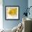 Yellow Fish-Irena Orlov-Framed Art Print displayed on a wall