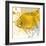 Yellow Fish-Irena Orlov-Framed Art Print