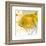 Yellow Fish-Irena Orlov-Framed Art Print