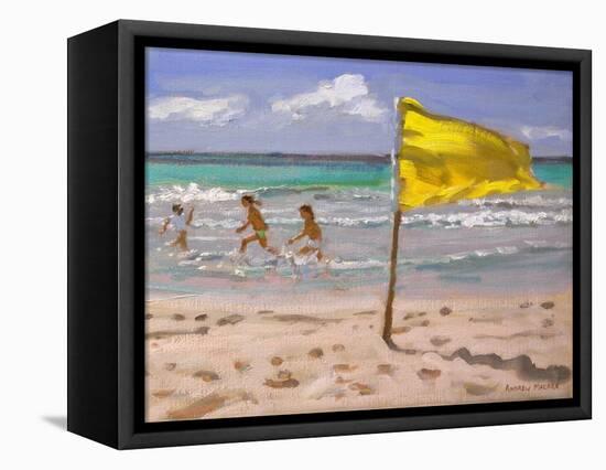 Yellow Flag, Barbados, 2010-Andrew Macara-Framed Premier Image Canvas