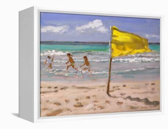 Yellow Flag, Barbados, 2010-Andrew Macara-Framed Premier Image Canvas