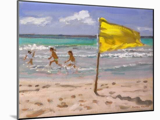 Yellow Flag, Barbados, 2010-Andrew Macara-Mounted Giclee Print