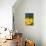 Yellow Flower in a Garden-Felipe Rodríguez-Photographic Print displayed on a wall