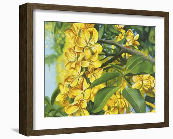 Yellow Flower-Graeme Stevenson-Framed Giclee Print