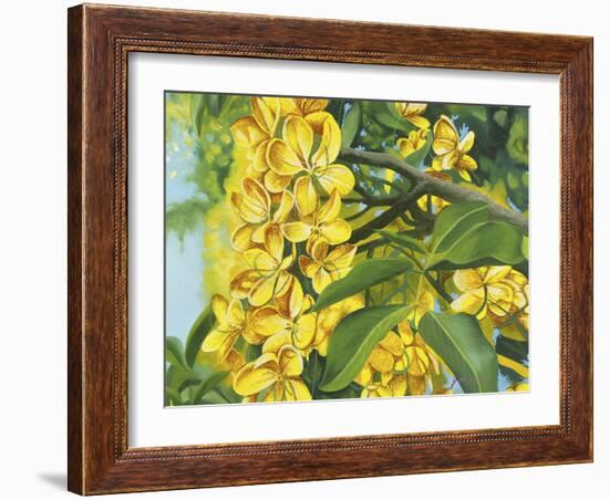 Yellow Flower-Graeme Stevenson-Framed Giclee Print