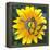 Yellow Flower-Scott Westmoreland-Framed Stretched Canvas