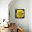 Yellow Flower-Scott Westmoreland-Framed Stretched Canvas displayed on a wall