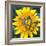 Yellow Flower-Scott Westmoreland-Framed Art Print