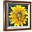 Yellow Flower-Scott Westmoreland-Framed Art Print