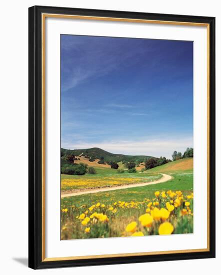 Yellow Flowers Along Side Rural Road with Rolling Landscape-null-Framed Photographic Print