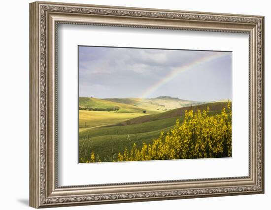 Yellow flowers and rainbow frame the green hills of Crete Senesi (Senese Clays), Province of Siena,-Roberto Moiola-Framed Photographic Print