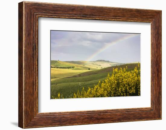 Yellow flowers and rainbow frame the green hills of Crete Senesi (Senese Clays), Province of Siena,-Roberto Moiola-Framed Photographic Print