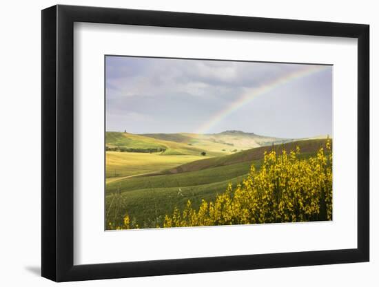 Yellow flowers and rainbow frame the green hills of Crete Senesi (Senese Clays), Province of Siena,-Roberto Moiola-Framed Photographic Print