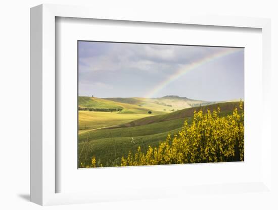 Yellow flowers and rainbow frame the green hills of Crete Senesi (Senese Clays), Province of Siena,-Roberto Moiola-Framed Photographic Print