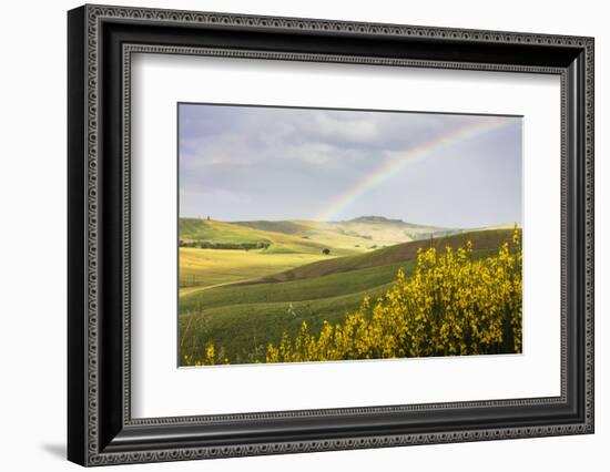 Yellow flowers and rainbow frame the green hills of Crete Senesi (Senese Clays), Province of Siena,-Roberto Moiola-Framed Photographic Print