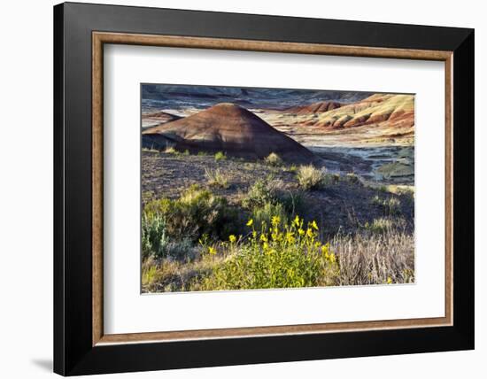 Yellow flowers in Painted Hills, John Day Fossil Beds National Monument, Mitchell, Oregon, USA.-Michel Hersen-Framed Photographic Print