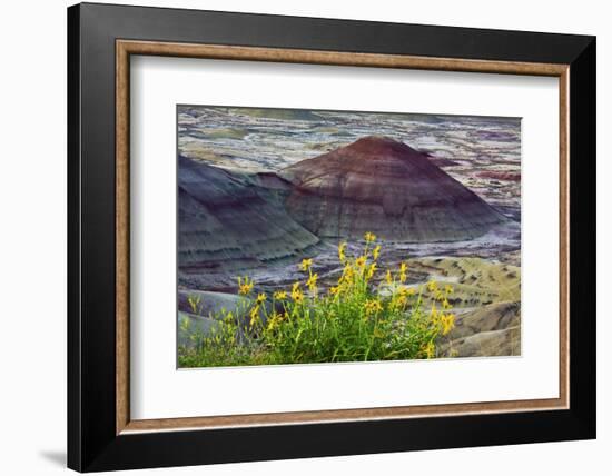 Yellow flowers, Painted Hills, John Day Fossil Beds National Monument, Mitchell, Oregon, USA.-Michel Hersen-Framed Photographic Print