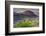 Yellow flowers, Painted Hills, John Day Fossil Beds National Monument, Mitchell, Oregon, USA.-Michel Hersen-Framed Photographic Print