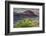 Yellow flowers, Painted Hills, John Day Fossil Beds National Monument, Mitchell, Oregon, USA.-Michel Hersen-Framed Photographic Print