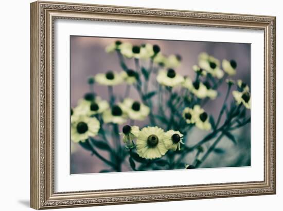 Yellow Flowers-Tim Kahane-Framed Photographic Print