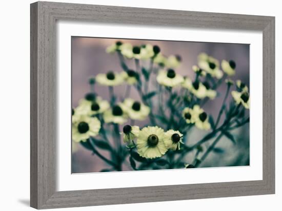 Yellow Flowers-Tim Kahane-Framed Photographic Print